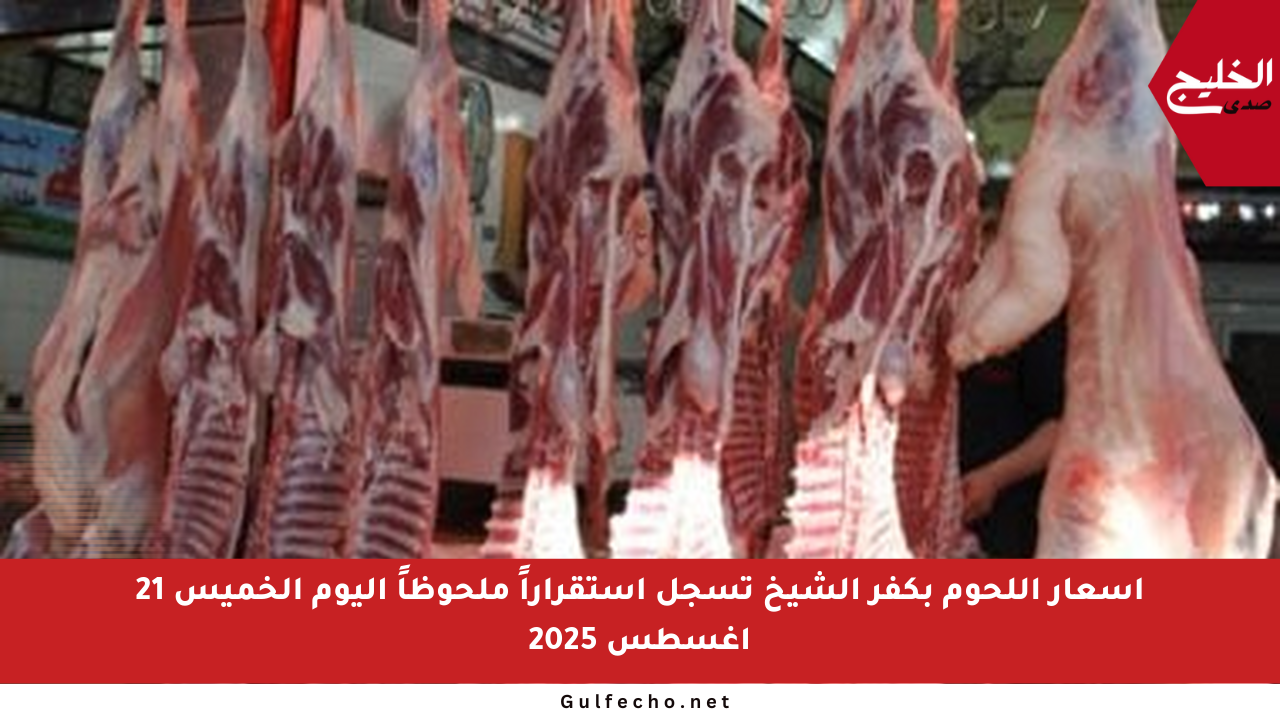 أسعار اللحوم بكفر الشيخ تسجل استقراراً ملحوظاً اليوم الخميس 21 أغسطس 2025